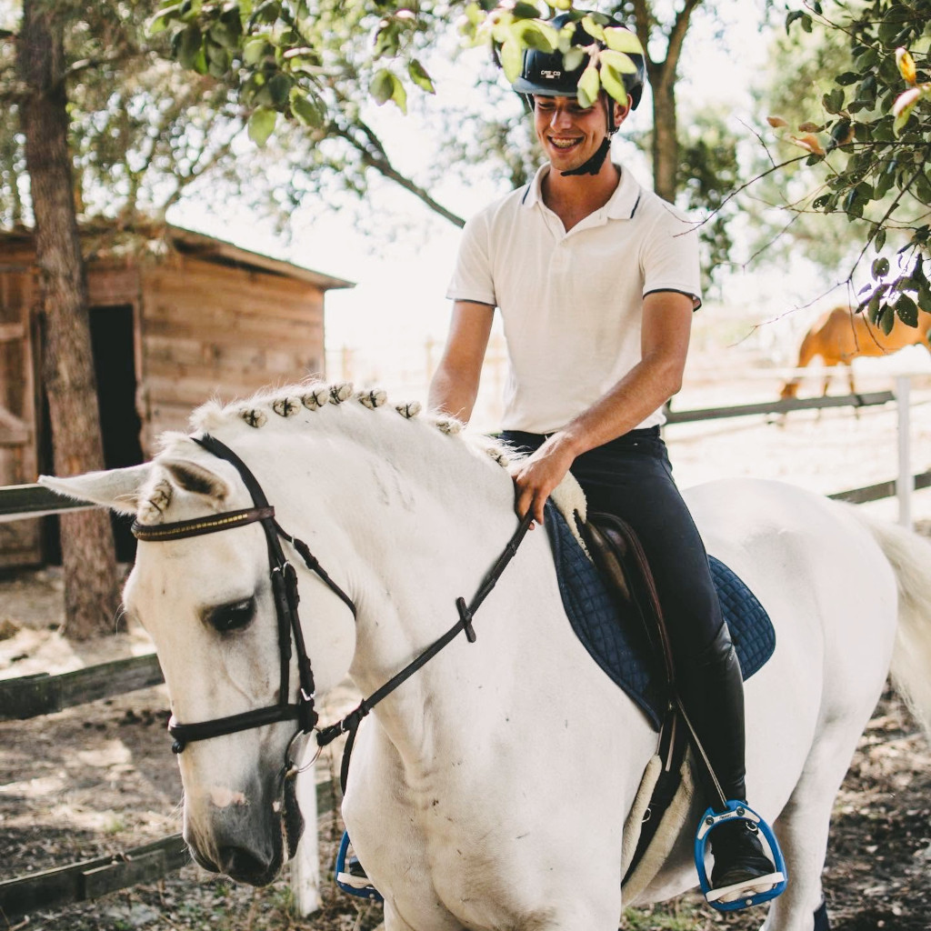 Cavalo e cavaleiro num prado ensolarado